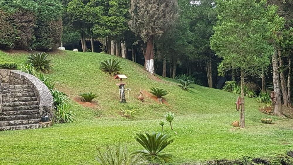 Chácara à venda com 4 quartos, 7000m² - Foto 29