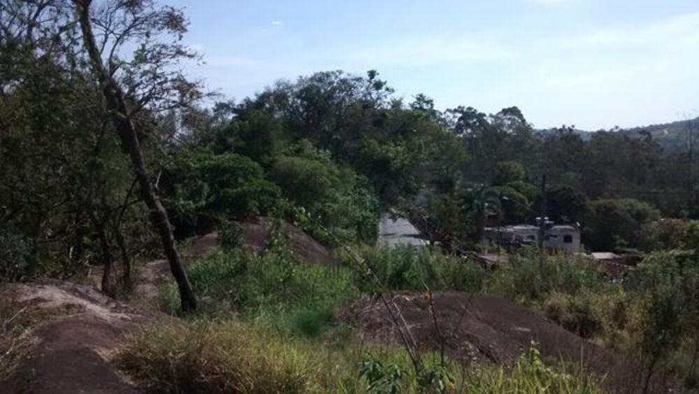 Terreno, 5 hectares - Foto 9