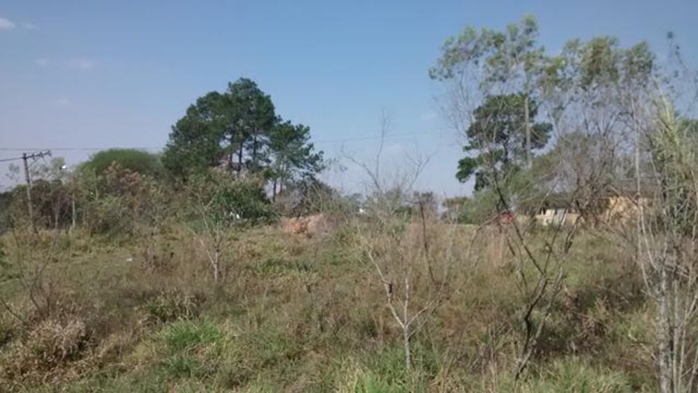 Terreno, 5 hectares - Foto 7