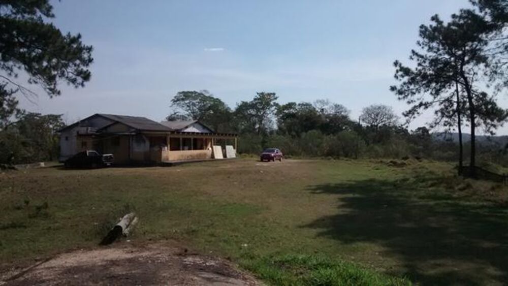 Terreno, 5 hectares - Foto 6