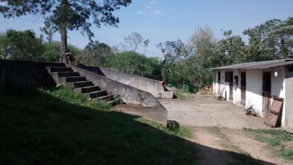 Terreno, 5 hectares - Foto 10