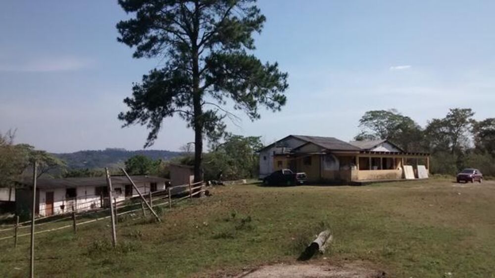 Terreno, 5 hectares - Foto 3