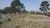 Terreno, 5 hectares - Foto 3