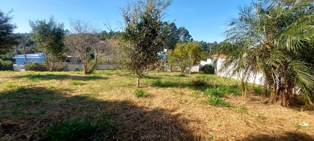 Loteamento e Condomínio, 500 m² - Foto 4