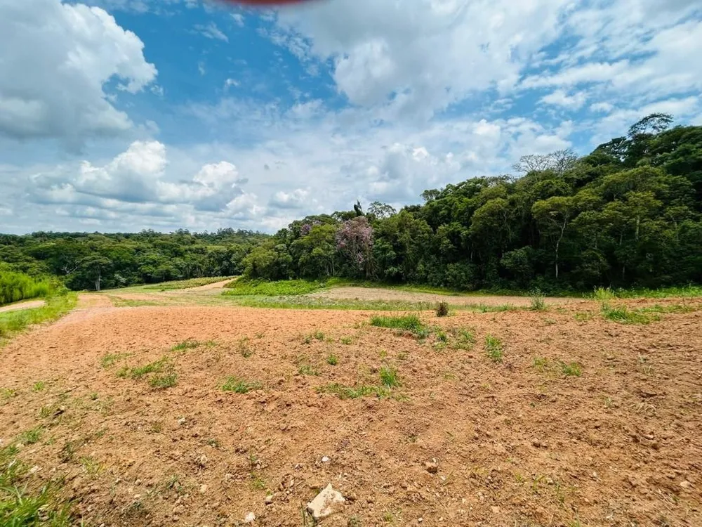 Terreno, 5 hectares - Foto 6