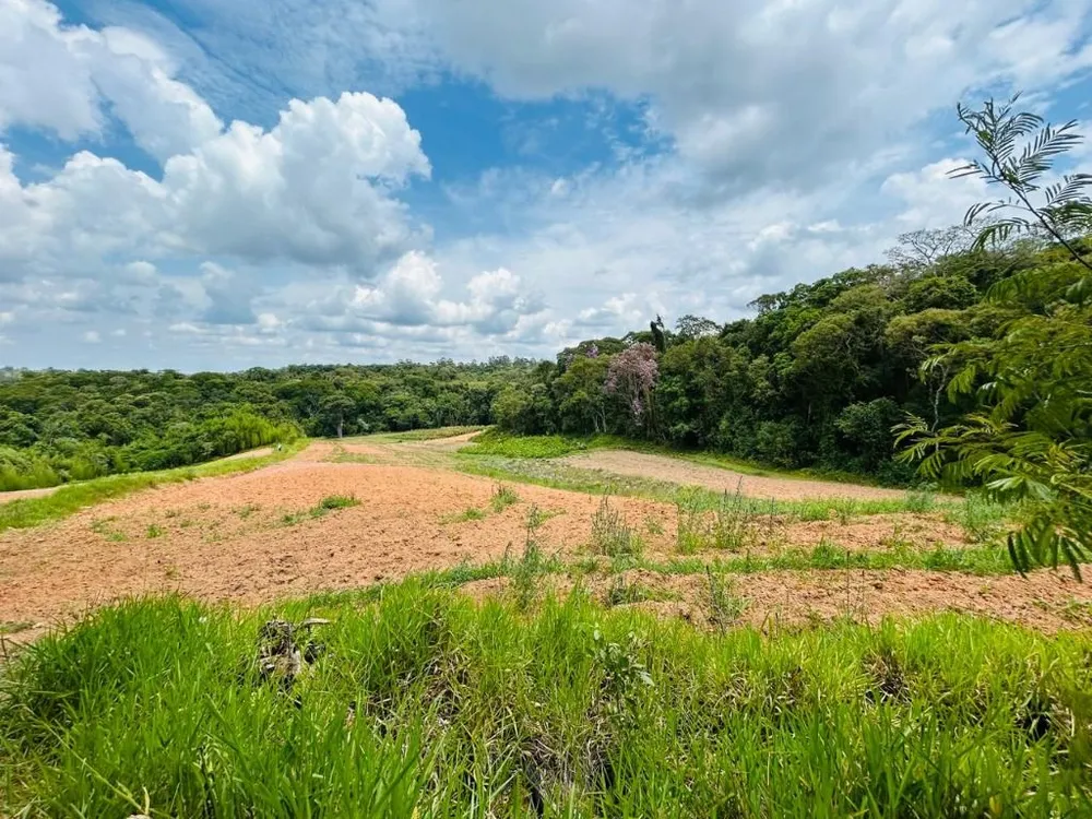 Terreno, 5 hectares - Foto 7