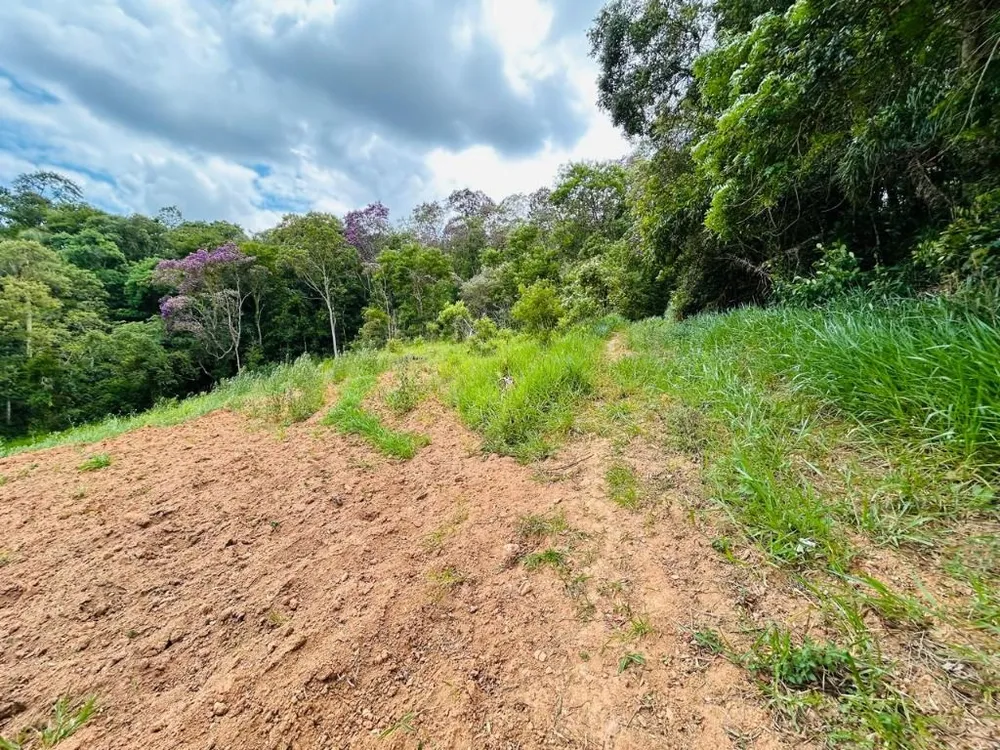Terreno, 5 hectares - Foto 4