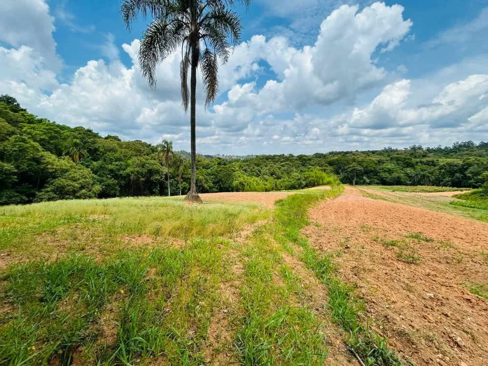 Terreno, 5 hectares - Foto 1