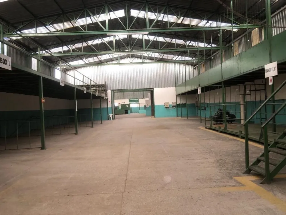 Depósito-Galpão, 3732 m² - Foto 6