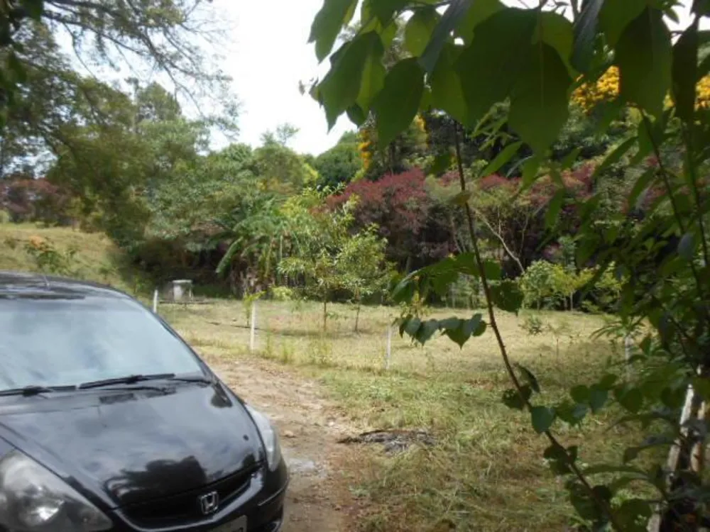 Casa, 4 quartos, 320 m² - Foto 7