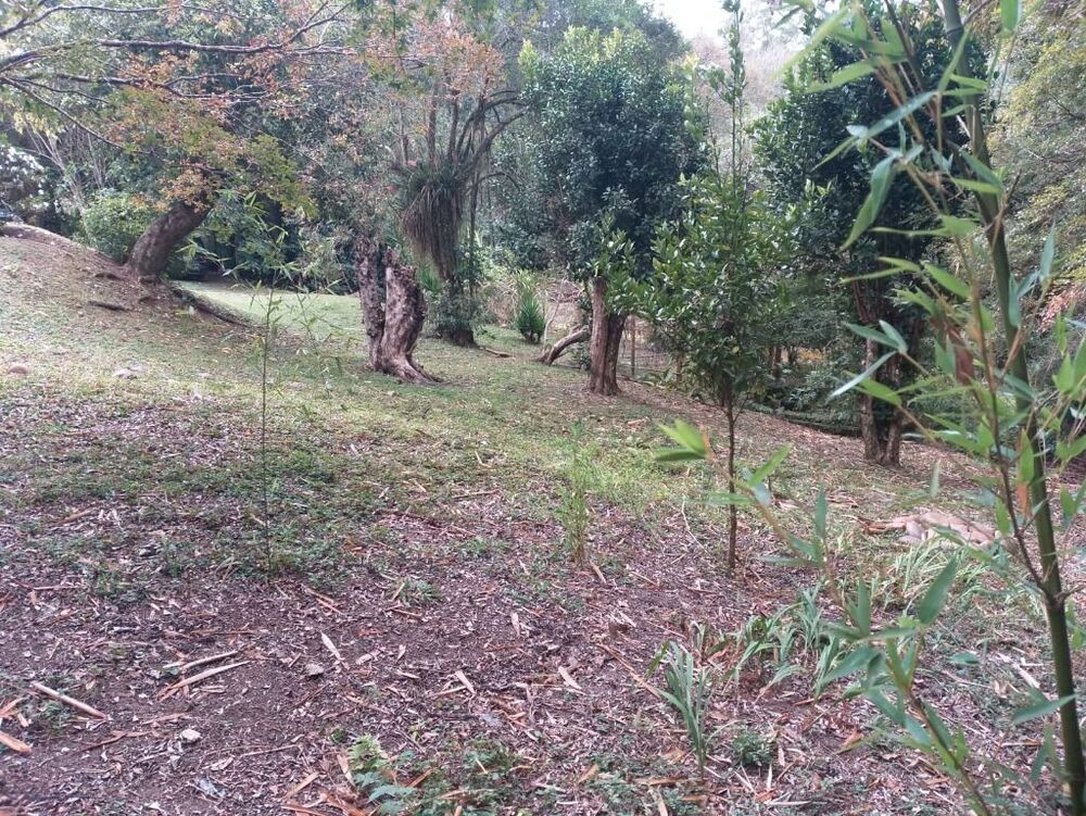 Terreno, 3 hectares - Foto 13