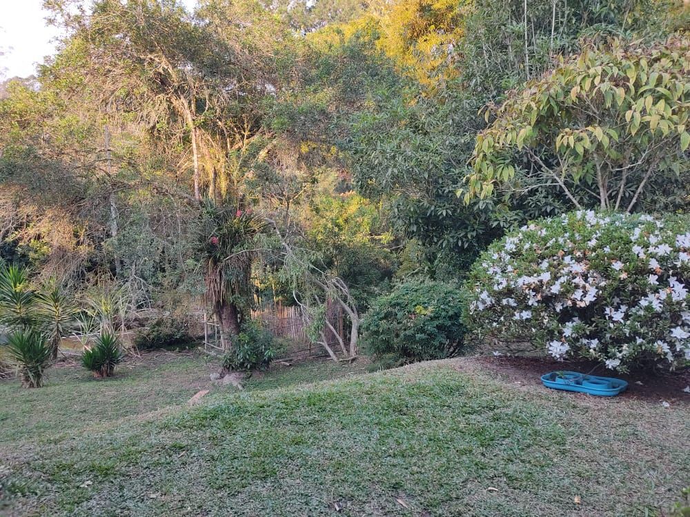 Terreno, 3 hectares - Foto 1