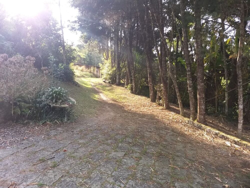 Terreno, 3 hectares - Foto 2