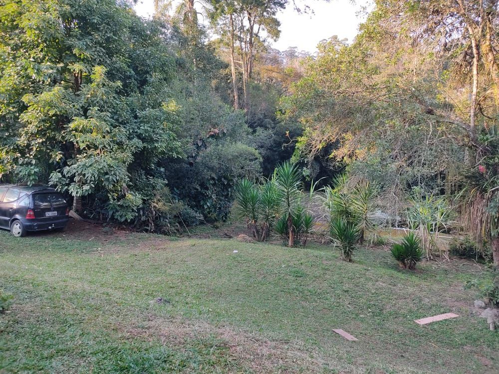 Terreno, 3 hectares - Foto 3