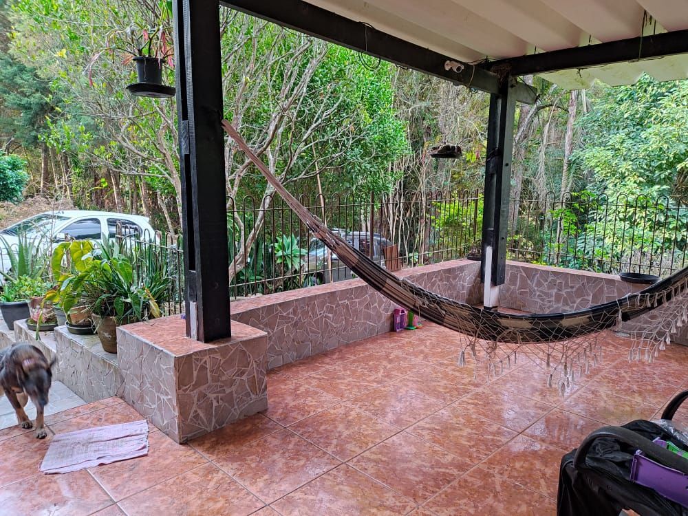 Terreno, 3 hectares - Foto 7