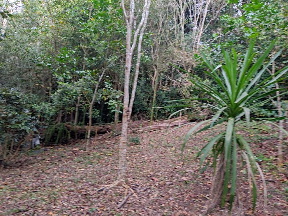 Terreno, 3 hectares - Foto 16