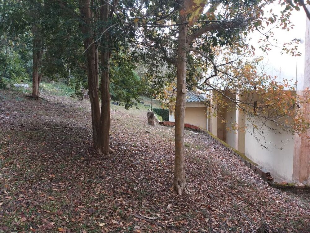 Terreno, 3 hectares - Foto 10