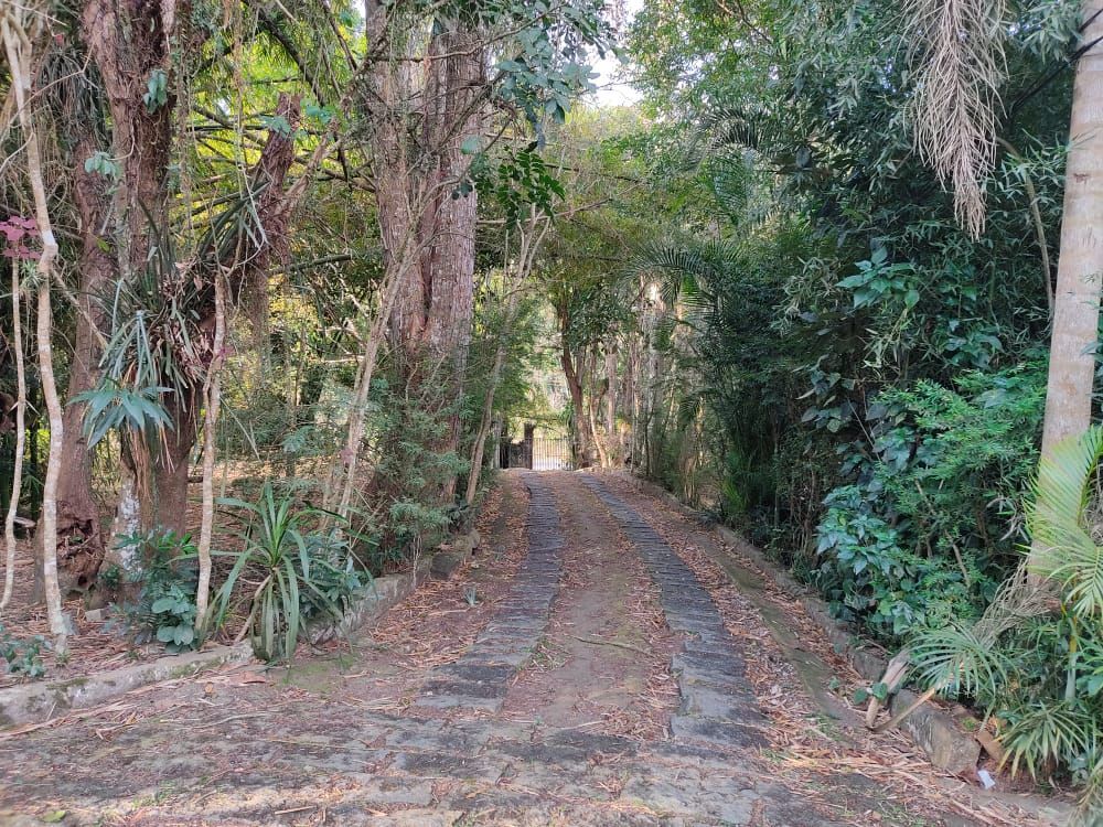 Terreno, 3 hectares - Foto 14