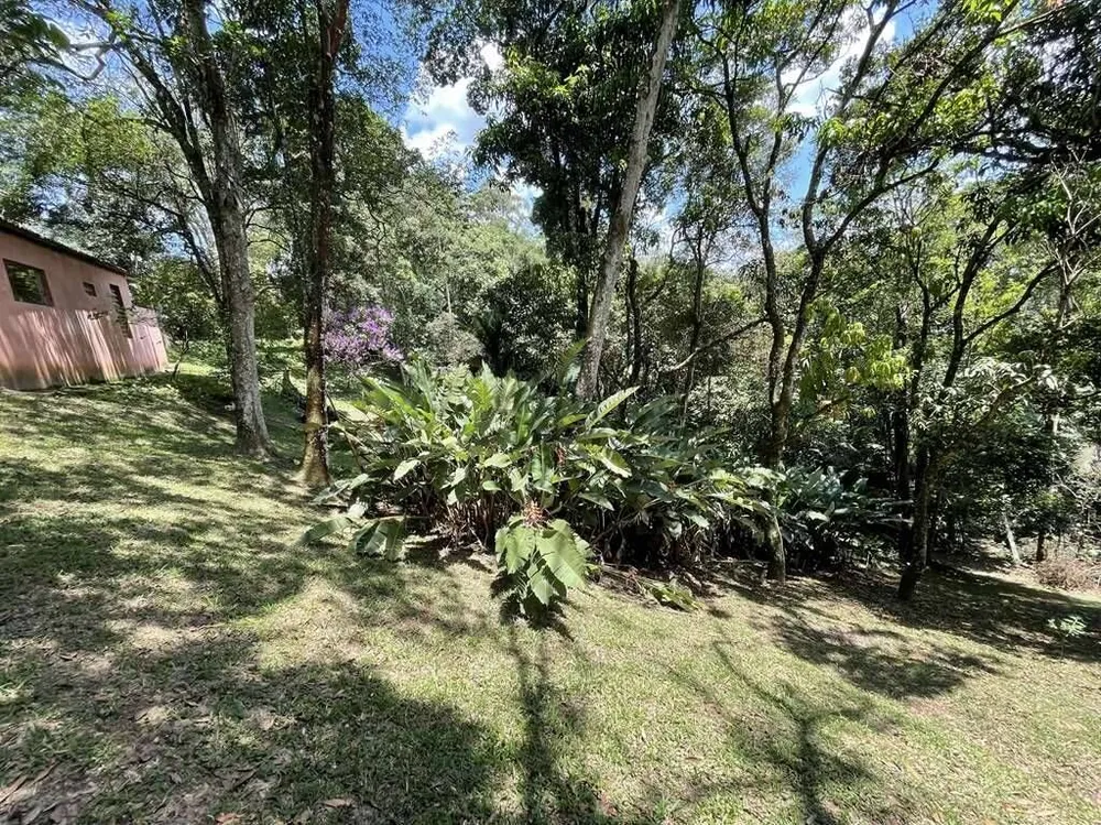 Chácara, 4 quartos, 2 hectares - Foto 11