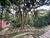 Chácara, 4 quartos, 2 hectares - Foto 3