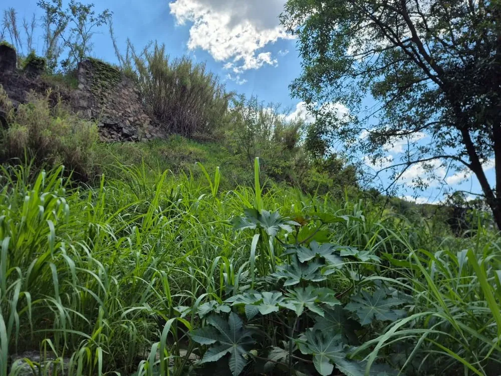 Terreno, 195 m² - Foto 4
