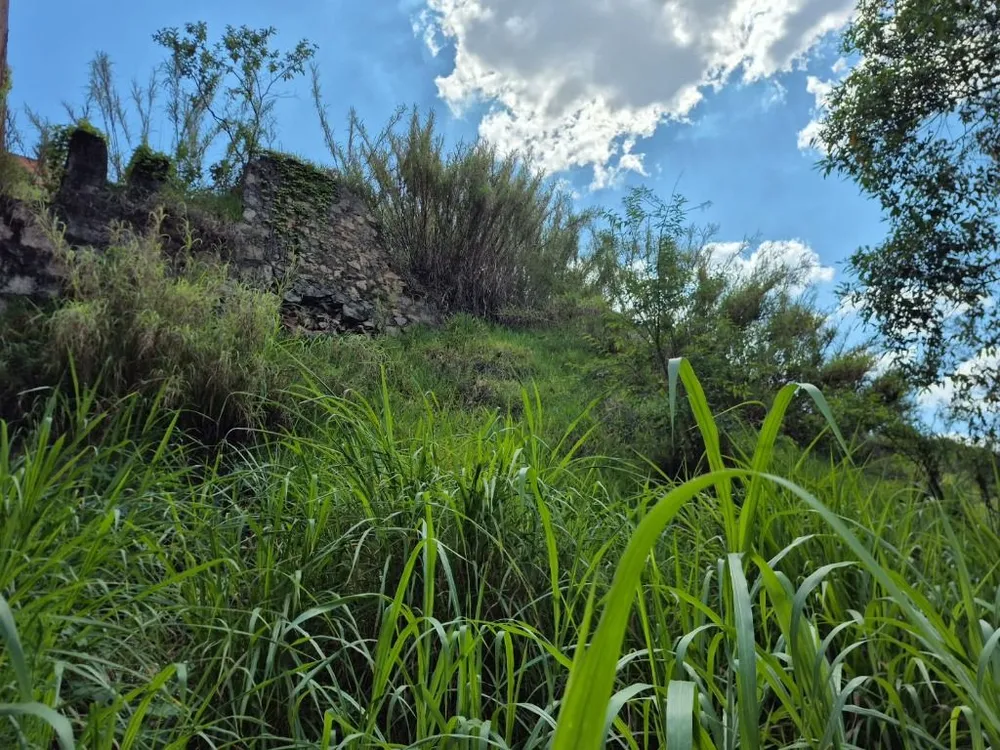 Terreno, 195 m² - Foto 6