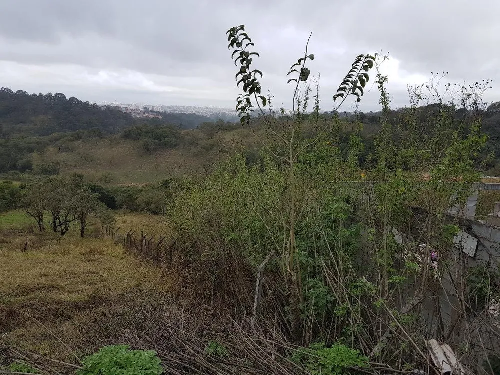 Terreno, 1500 m² - Foto 11