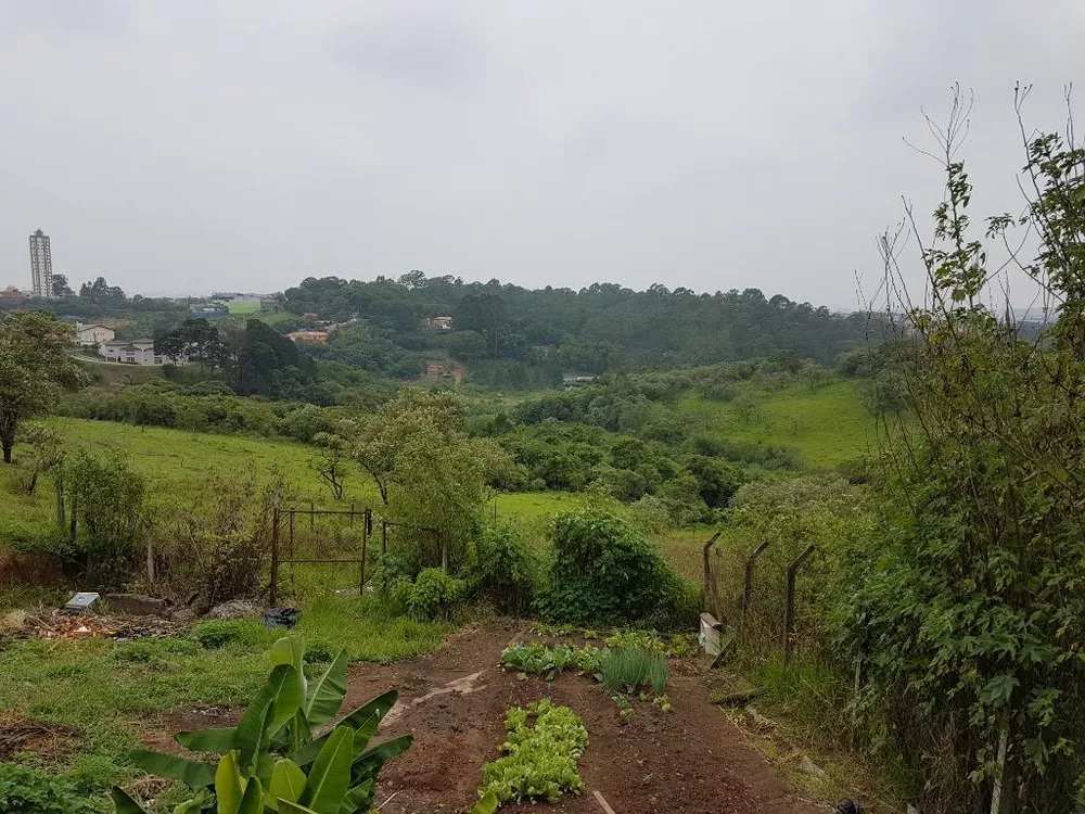 Terreno à venda, 1500m² - Foto 4