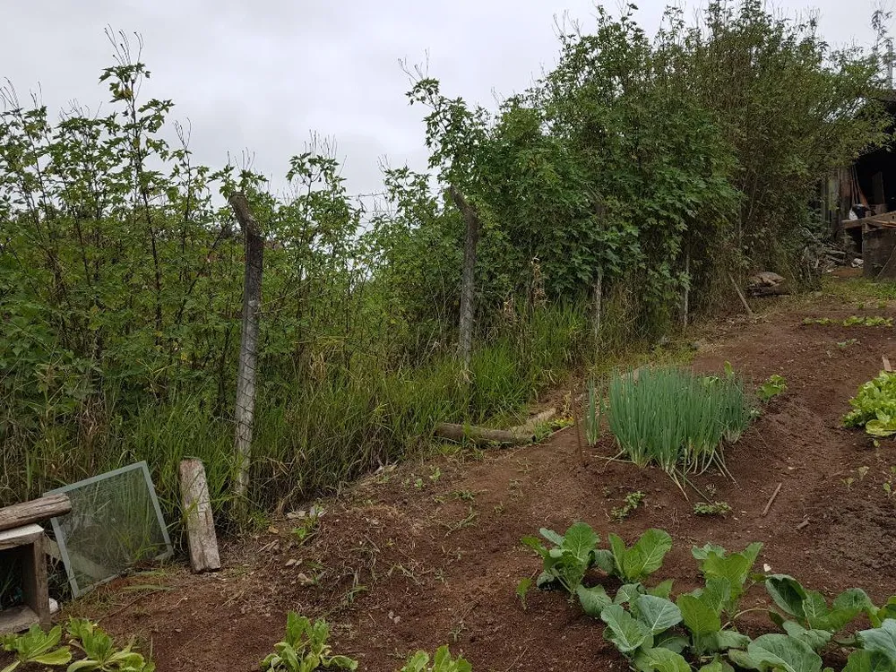 Terreno, 1500 m² - Foto 12