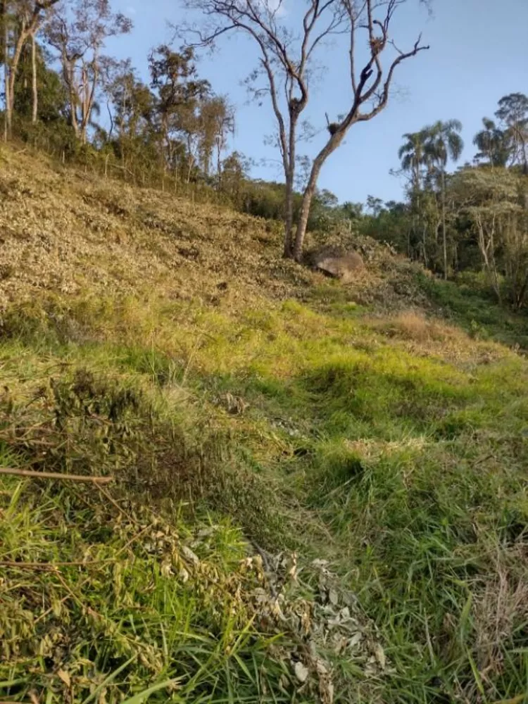 Loteamento e Condomínio à venda, 1690m² - Foto 4