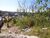 Terreno, 250 m² - Foto 2