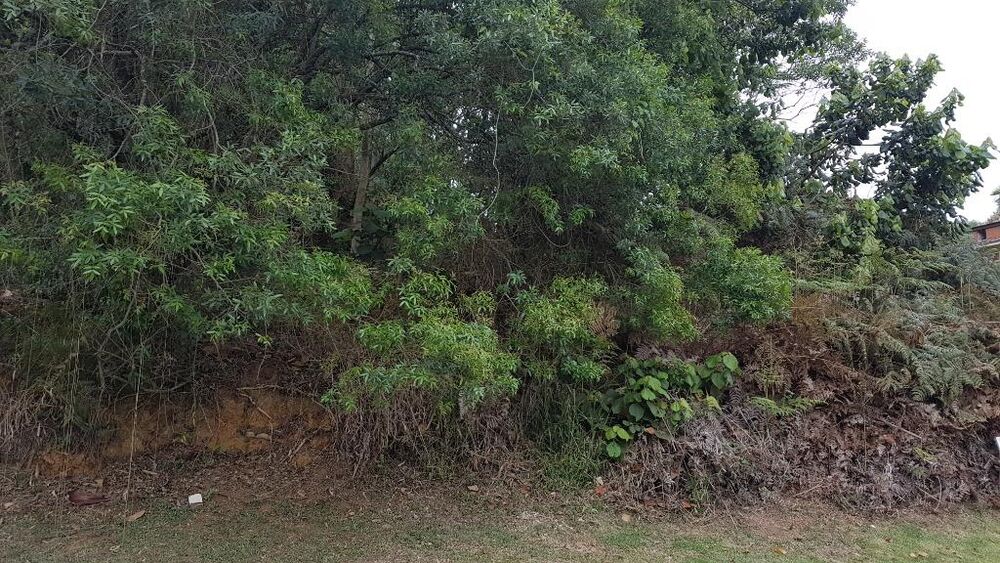 Loteamento e Condomínio à venda, 1060m² - Foto 13