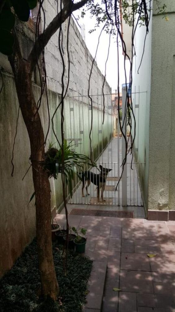 Casa, 3 quartos, 300 m² - Foto 35