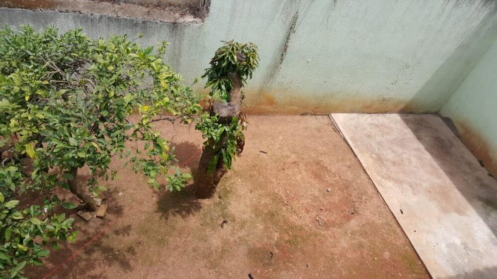 Casa, 3 quartos, 300 m² - Foto 36