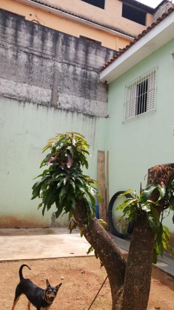 Casa, 3 quartos, 300 m² - Foto 27