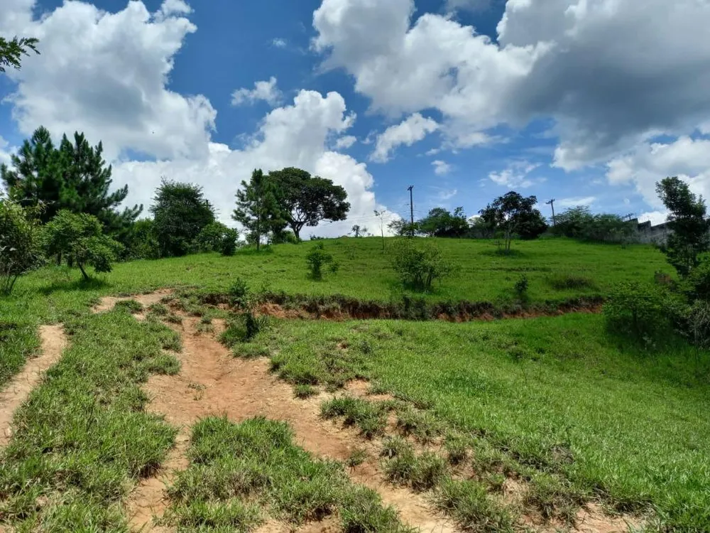 Terreno, 1 hectares - Foto 6