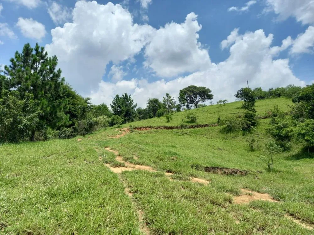 Terreno, 1 hectares - Foto 7