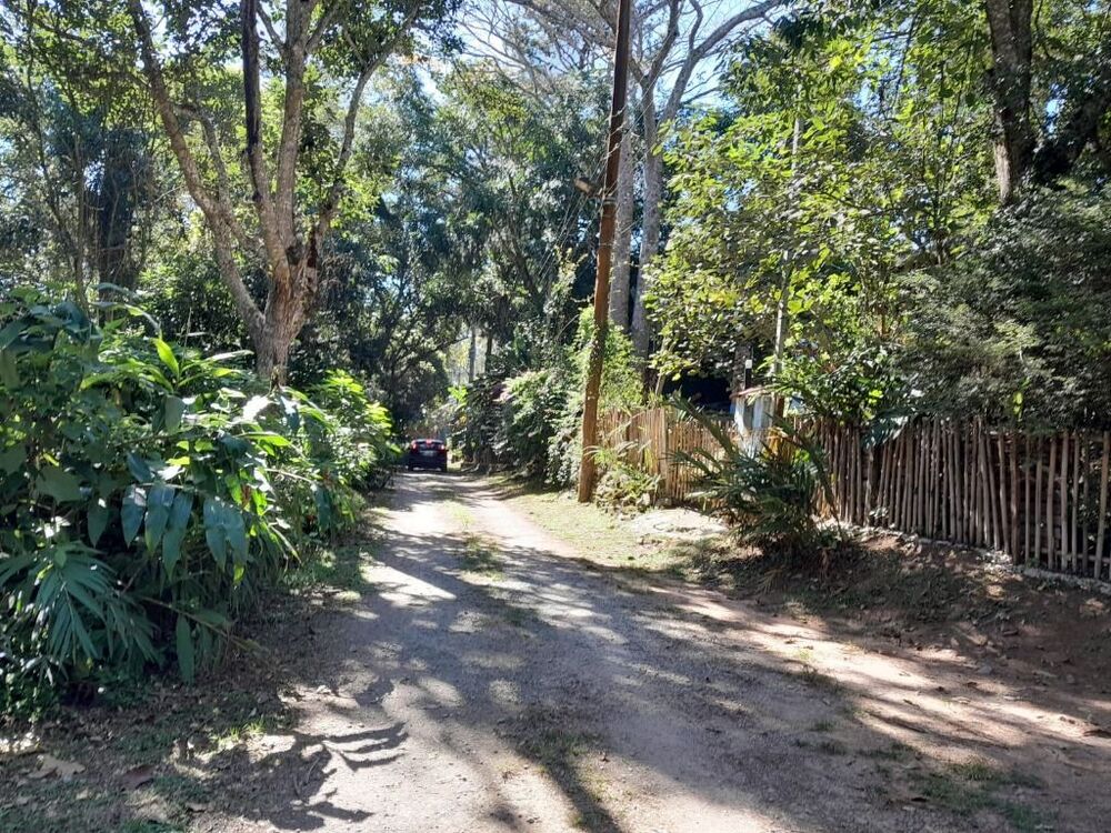 Terreno, 1 hectares - Foto 3