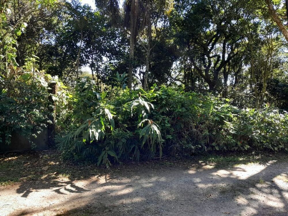 Terreno, 1 hectares - Foto 2