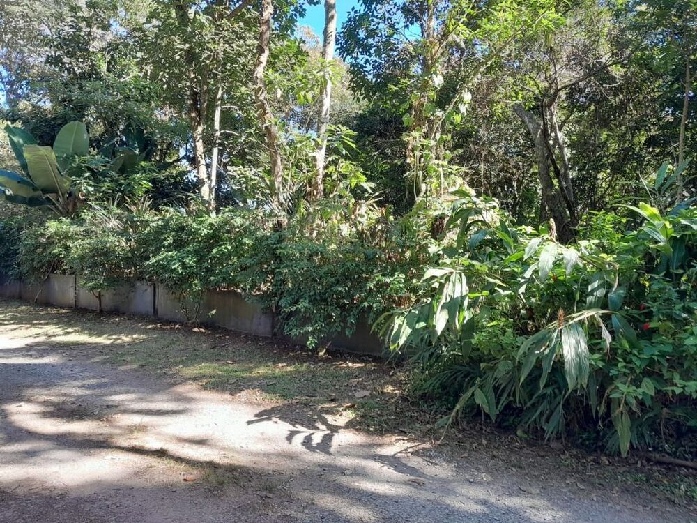 Terreno, 1 hectares - Foto 6