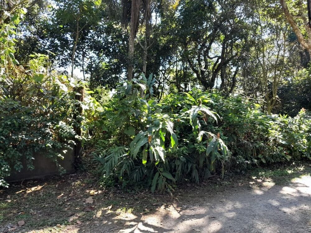Terreno, 1 hectares - Foto 8