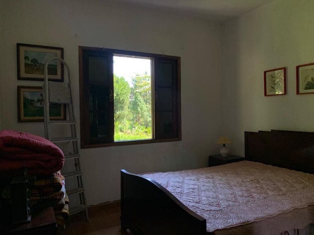 Sítio, 3 quartos, 3 hectares - Foto 17