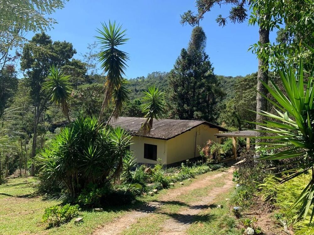 Sítio, 3 quartos, 3 hectares - Foto 13