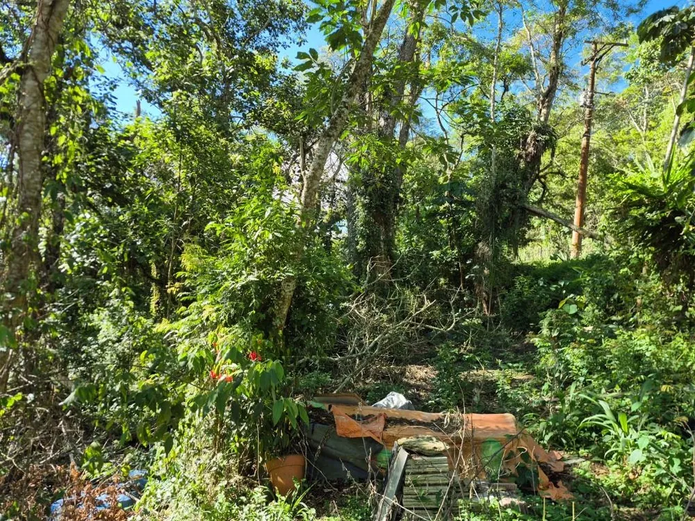 Loteamento e Condomínio, 1097 m² - Foto 4