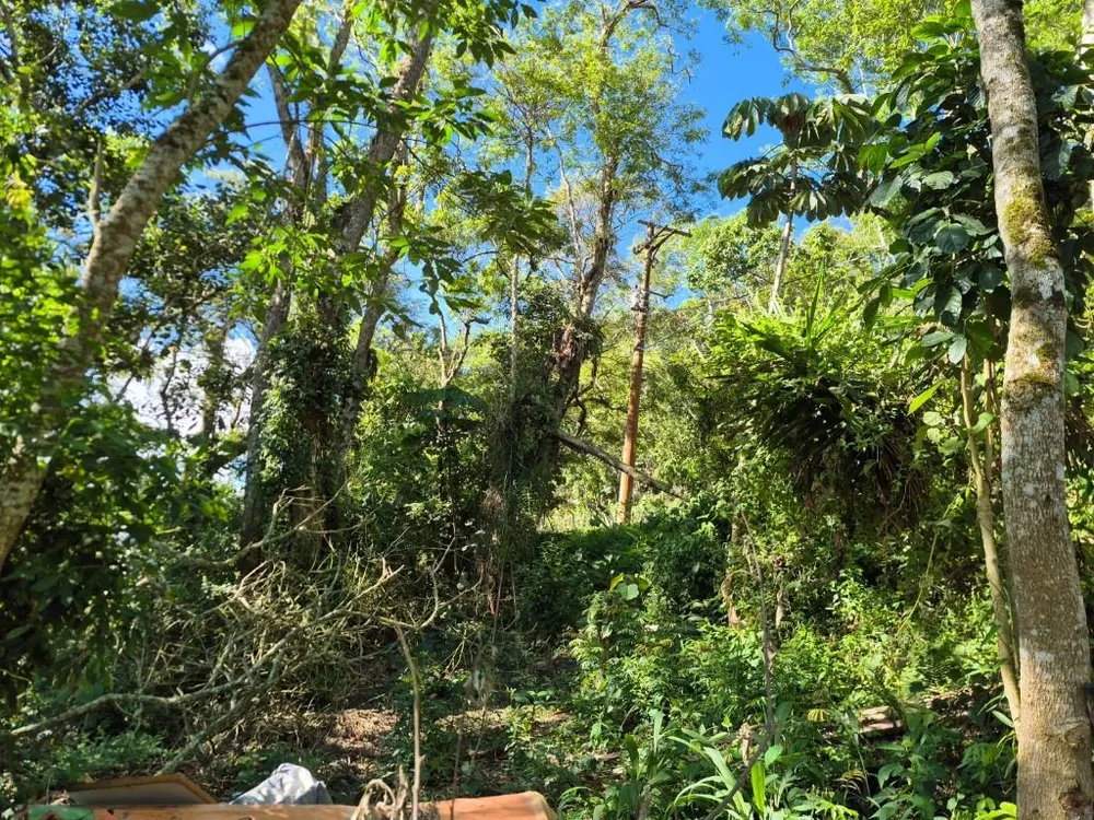Loteamento e Condomínio, 1097 m² - Foto 2