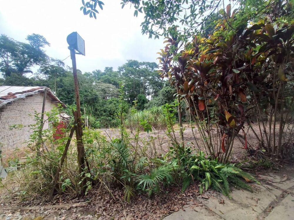 Terreno, 6 hectares - Foto 6