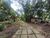 Terreno, 6 hectares - Foto 4