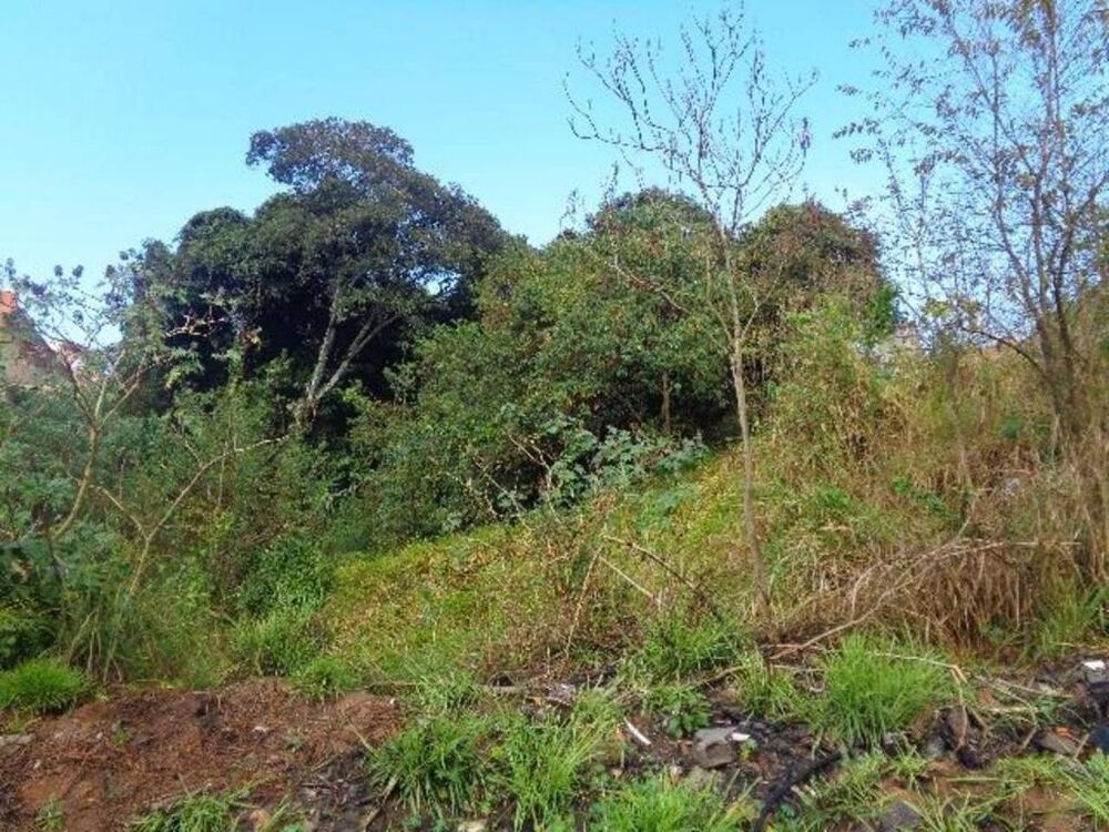 Terreno à venda, 865m² - Foto 6