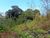 Terreno, 865 m² - Foto 6