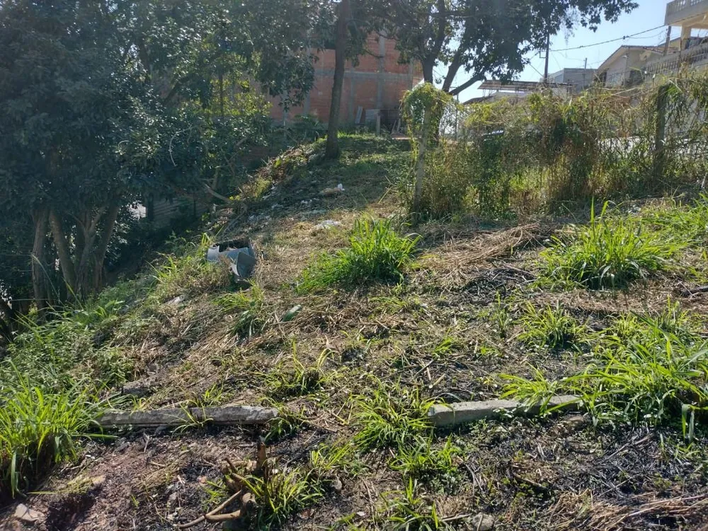 Terreno, 310 m² - Foto 6